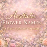 Aesthetic Flower Names for Every Style and Personality