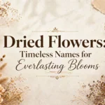 Dried Flowers Timeless Names for Everlasting Blooms
